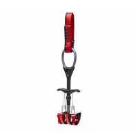 BD CAMALOT C4 S19 #1