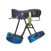 Momentum Kids Harness