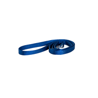 80cm 19mm Nylon sewn sling 