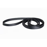 200cm 19mm Nylon sewn sling