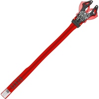 Prog 30cm