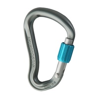 Ascent Lite Screw Gate Carabiner