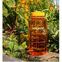 Sustain Wide Mouth 1L Bottle